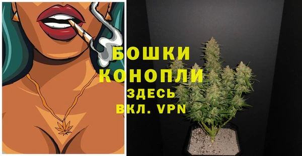 индика Верея