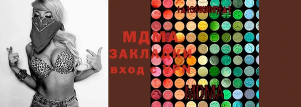 индика Верея