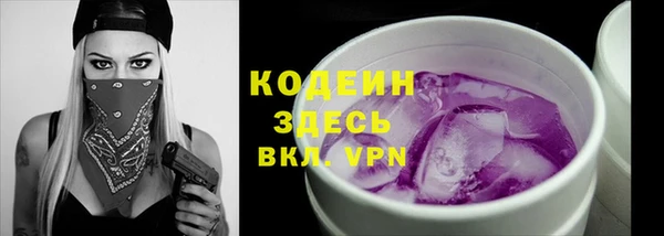 индика Верея