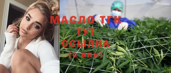индика Верея